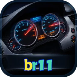 br11