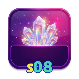 s08